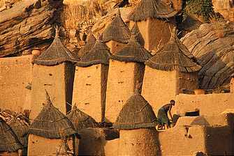 dogoncliff