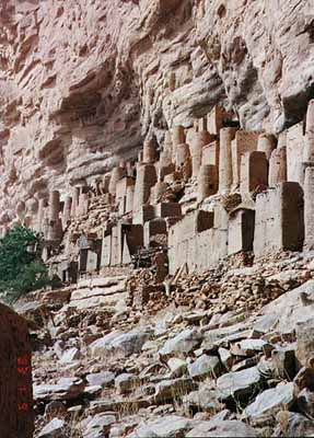 dogoncliff2