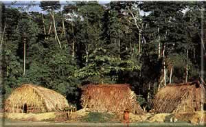 huaoranihuts