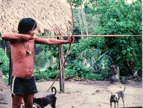 pirahahunter