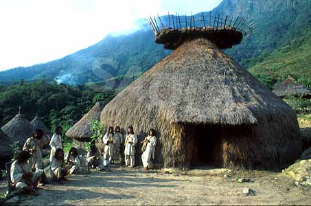kogihut