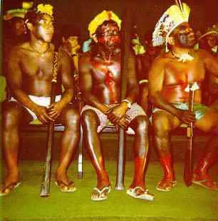 yanowarriors