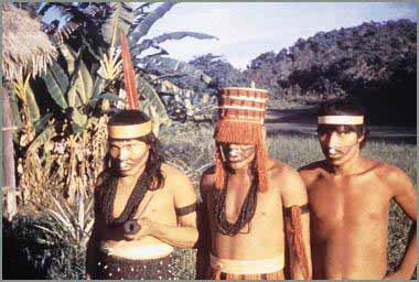 amahuaca 2