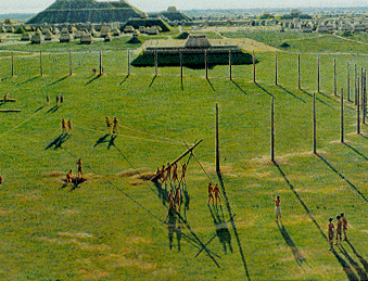 woodhengesticks