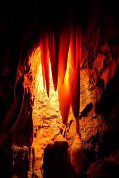 jenolancave706