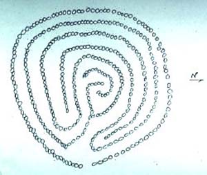 labyrinth_MAG