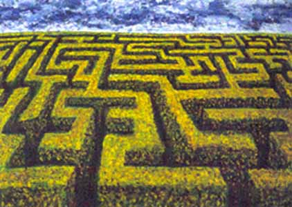 mazegrass