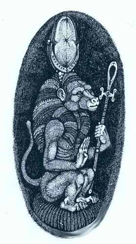 thothbaboonbw